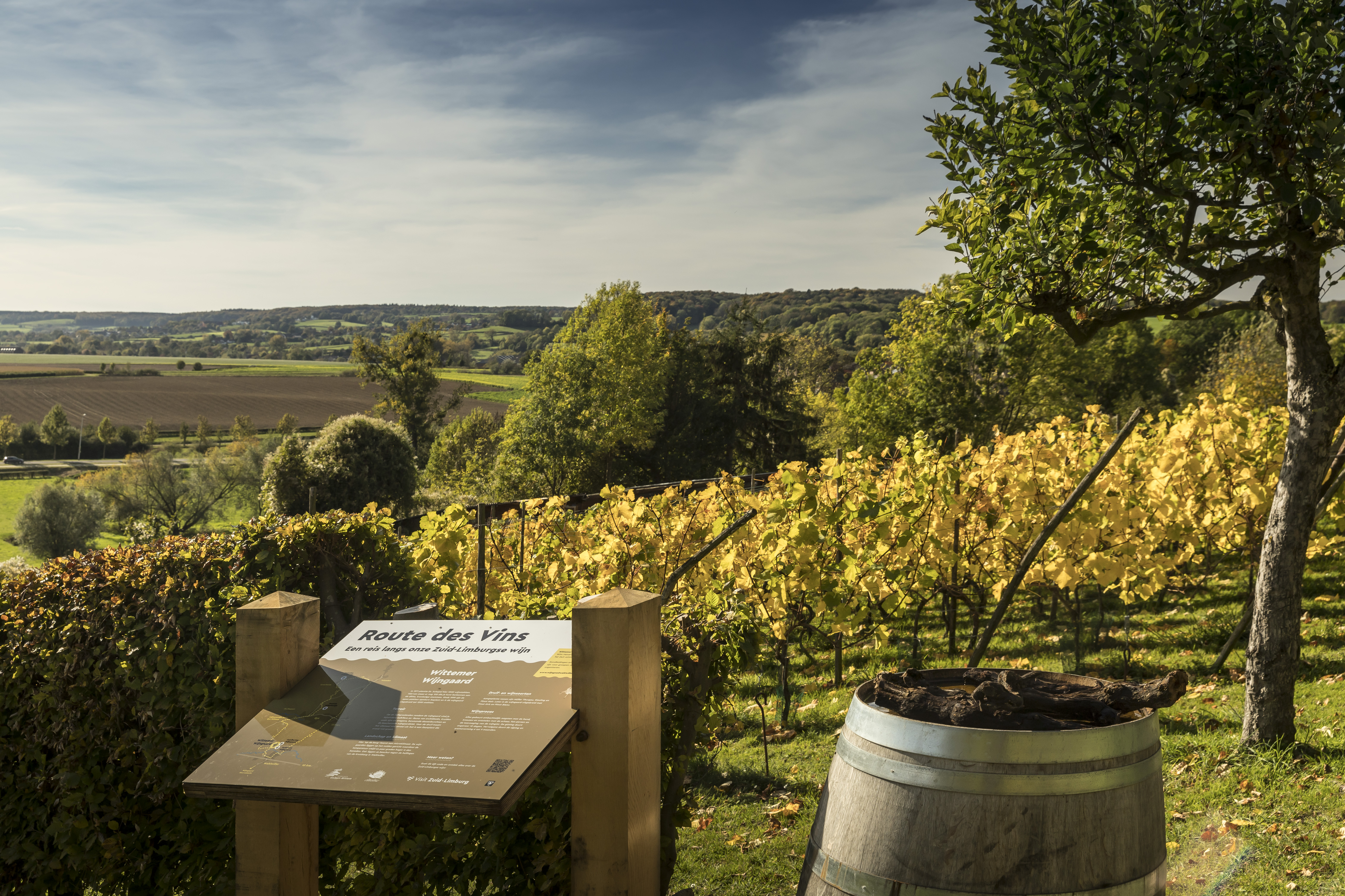 South Limburg wine region