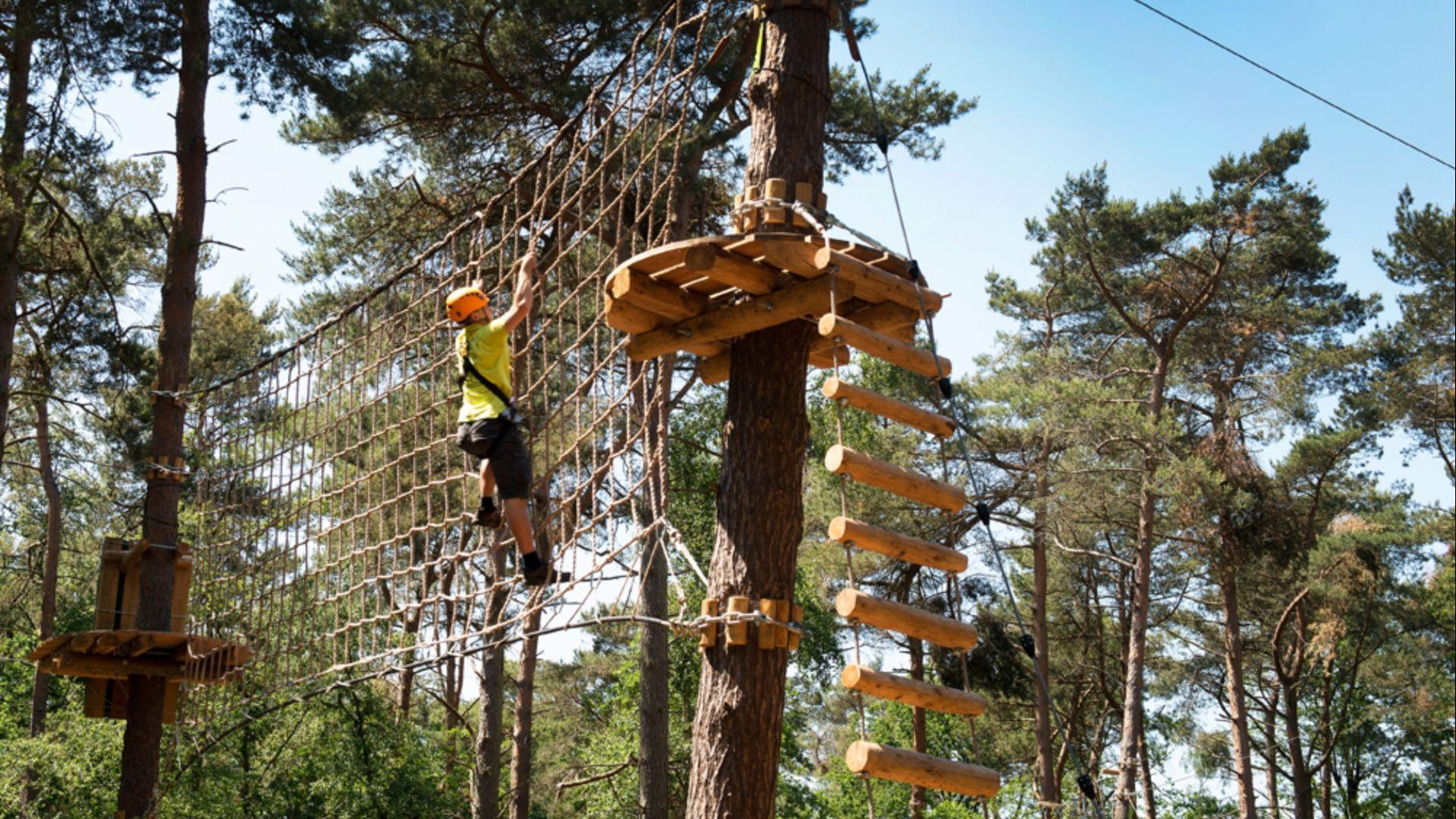 Zwieren En Klauteren: De Stoerste Klimbossen En Klimparken In Limburg ...