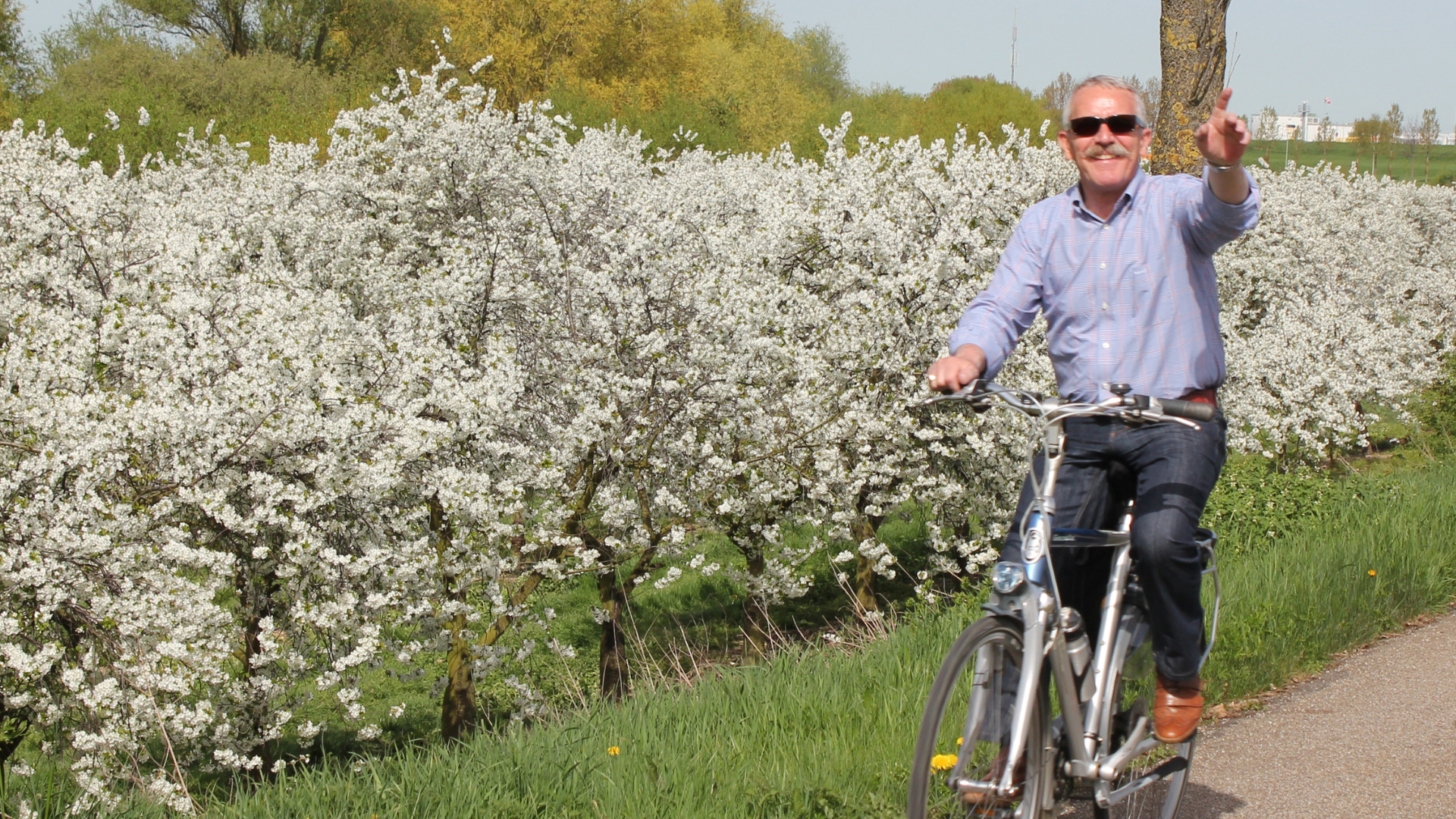 Cyclist in between flowers 