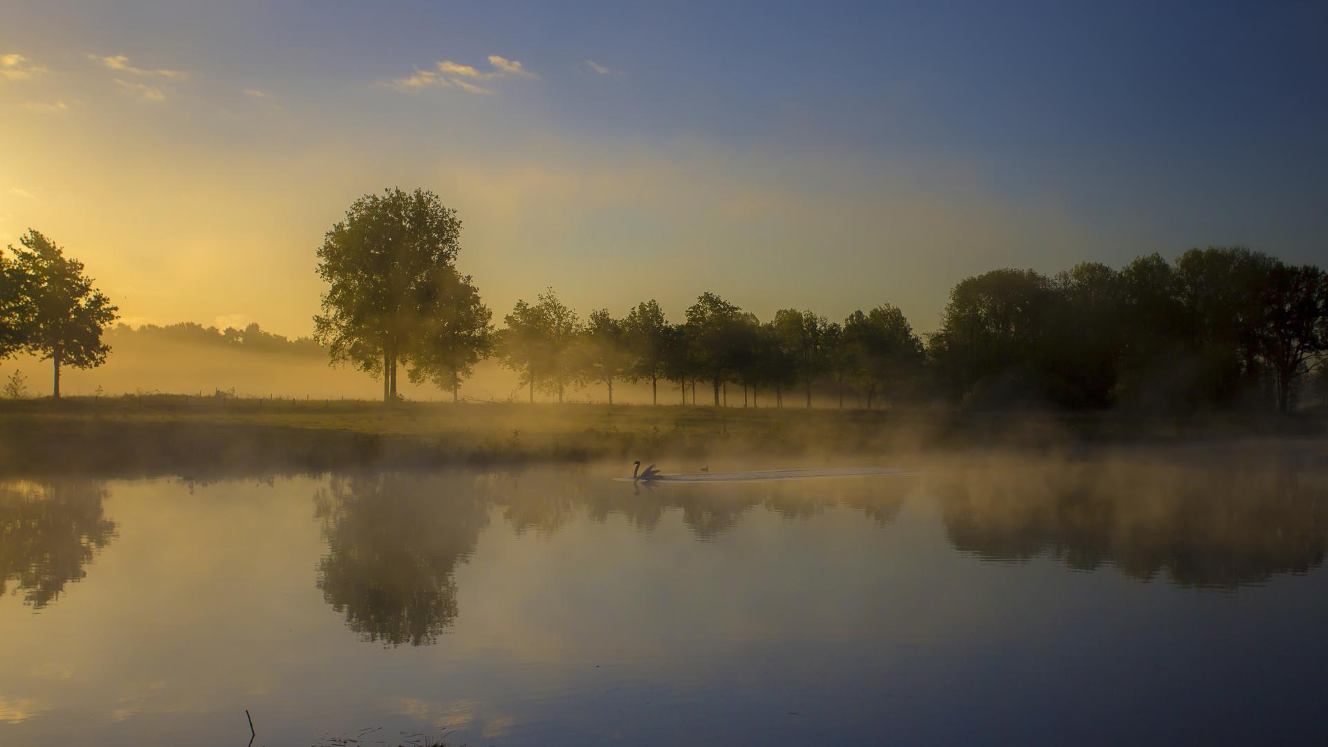 Eikpunten Limburg