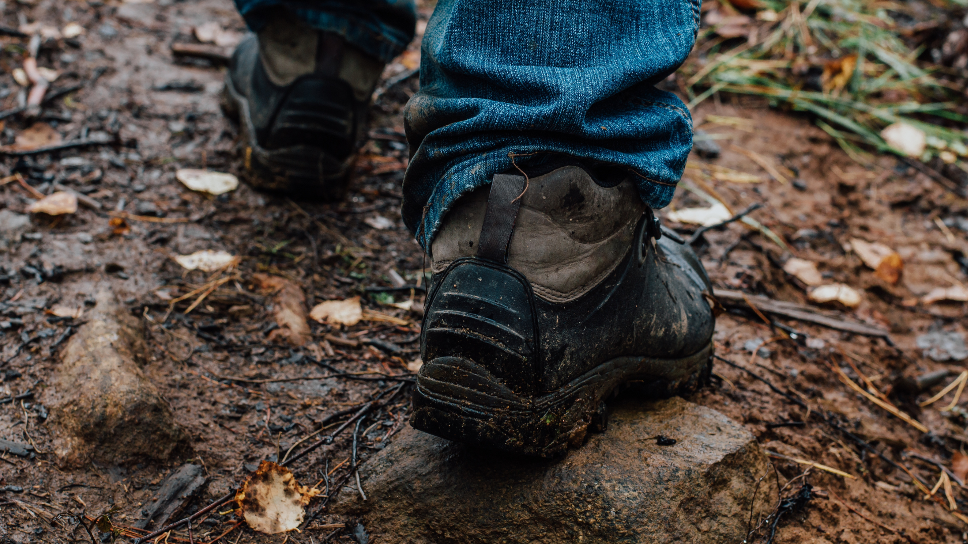 Wandern durch Limburg an der Maas