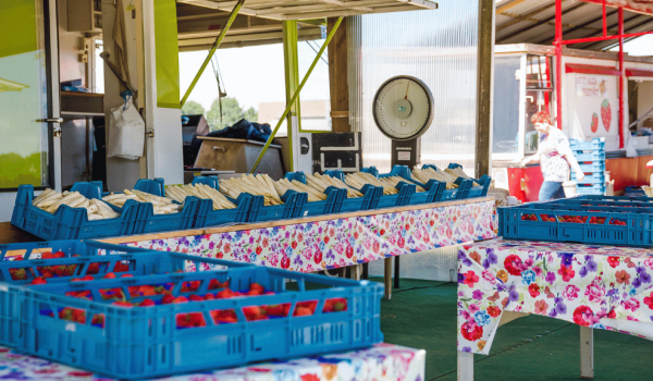 Strawberries and aspargus on a market 