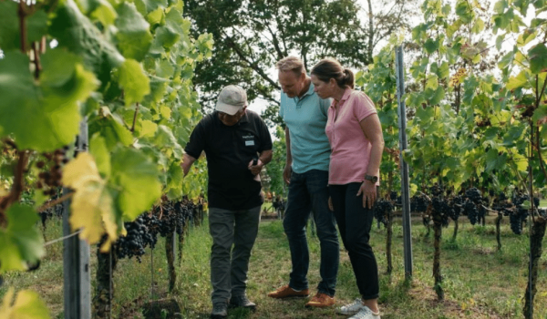 Gäste im Weingut