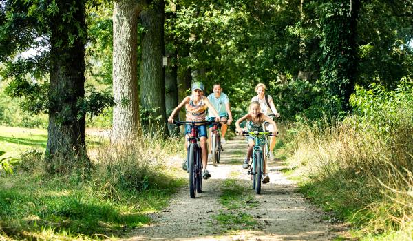 Fietsen eikpunt Landgoed Bleijenbeek