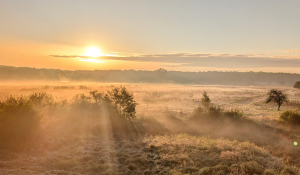 Herfst in Hart van Limburg