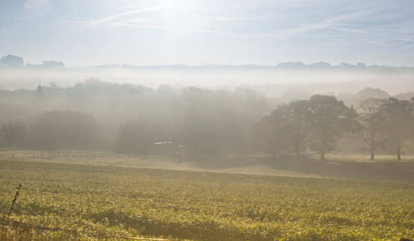 Herbst in Süd-Limburg