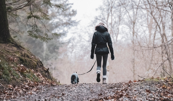 Wandern Zuid-Limburg